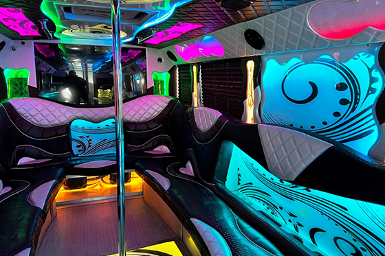 vision party bus