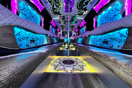 Luxurious party bus service sound system