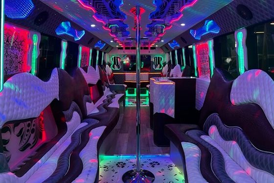 Party bus Chicago laser show